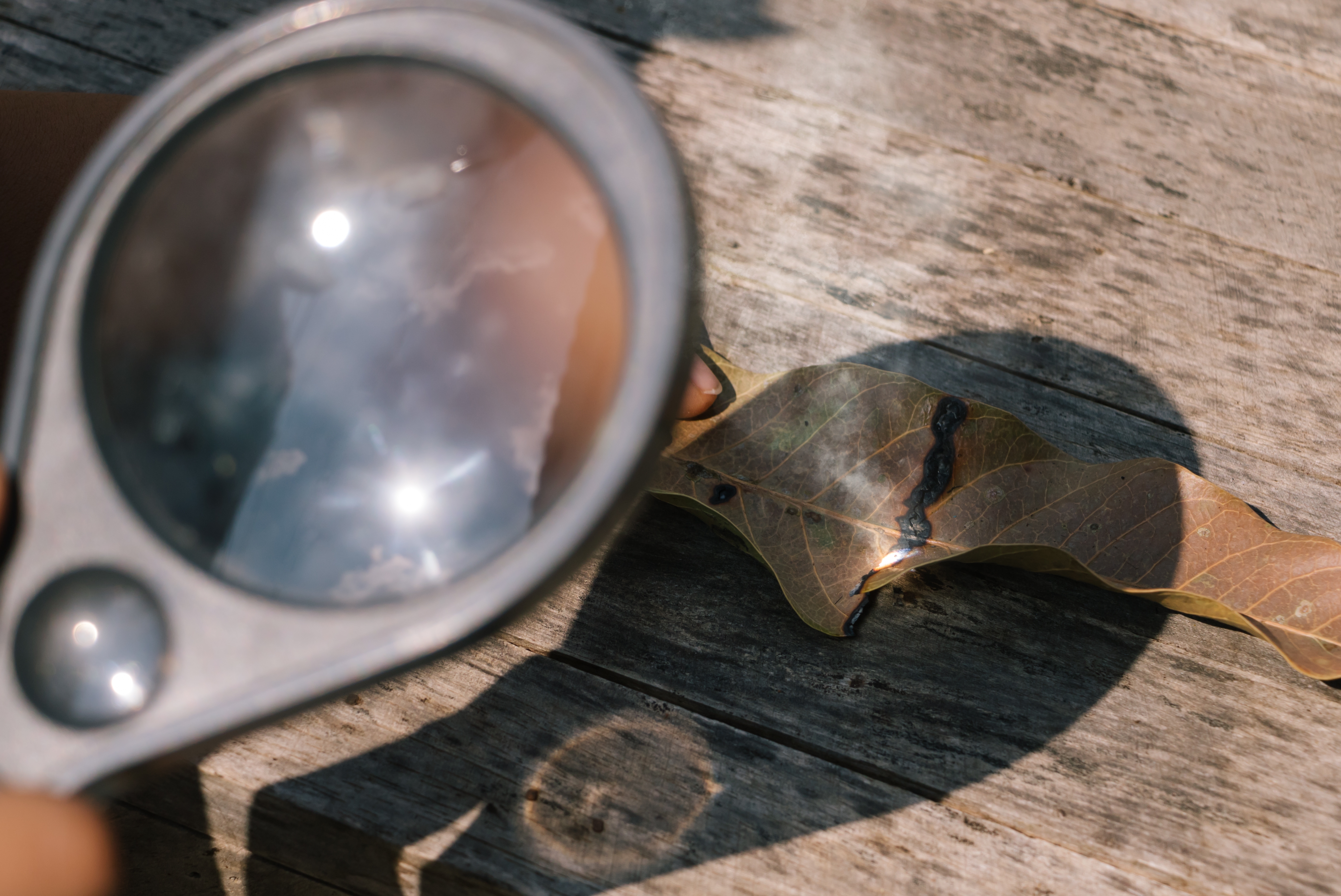Burning a leaf with a magnifying glass